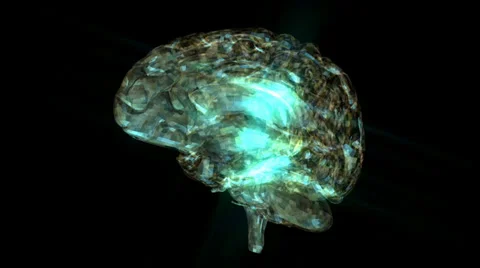 Human brain animation Stock Footage 27862569