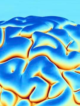Human brain, artwork Illustrazione stock