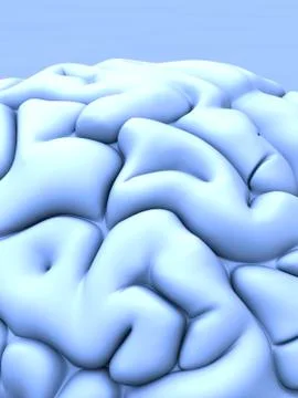 Human brain, artwork イラスト素材