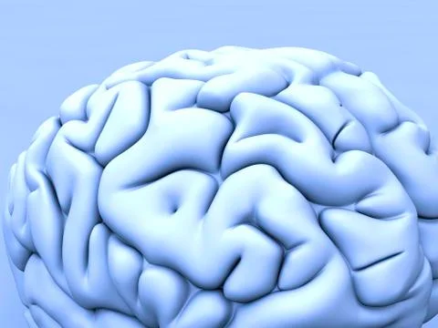 Human brain, artwork イラスト素材