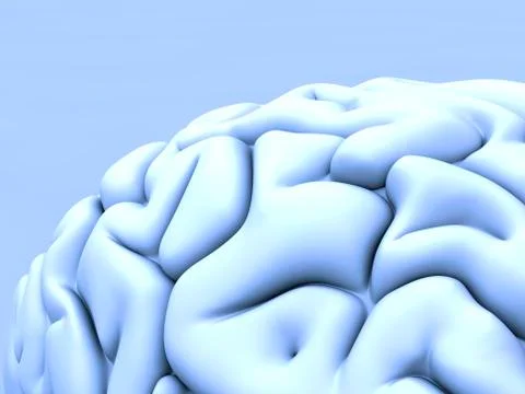 Human brain, artwork Illustrazione stock