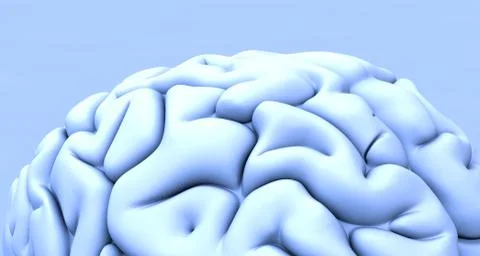Human brain, artwork イラスト素材