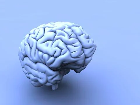 Human brain, artwork イラスト素材