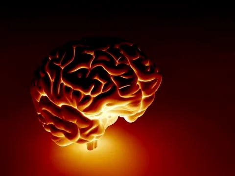 Human brain, artwork イラスト素材