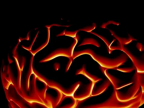 Human brain, artwork イラスト素材