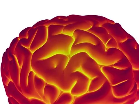 Human brain, artwork イラスト素材