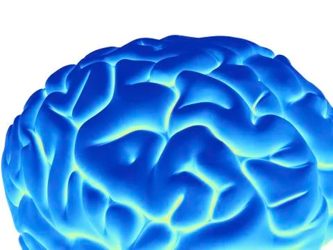 Human brain, artwork イラスト素材