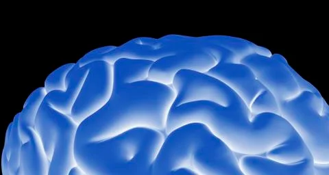 Human brain, artwork イラスト素材