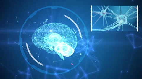 Human brain being formed by revolving particles. Plexus structure around Stock Footage 65415080