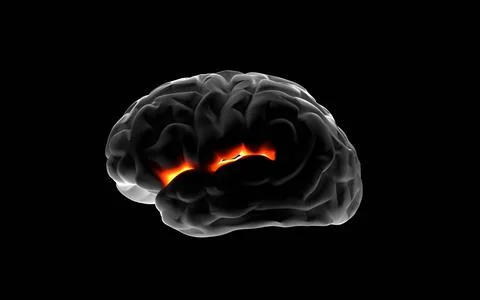 Human brain on black isolated background, glowing red pain. Concept of health Illustrazione stock