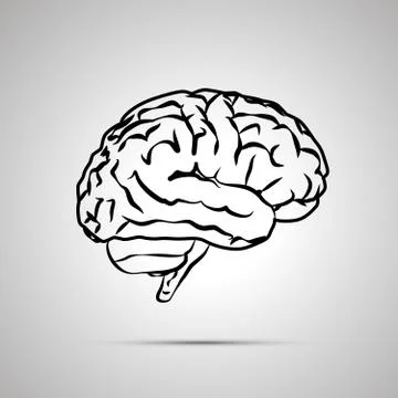 Human brain, black vector icon Stock Illustration