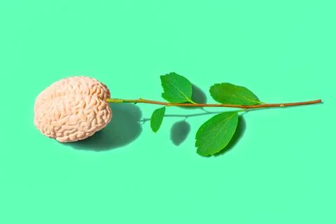 Human Brain as a Blooming Flower Concept Foto stock