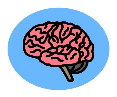 Human brain on a blue background. Cartoon. Stock Illustration