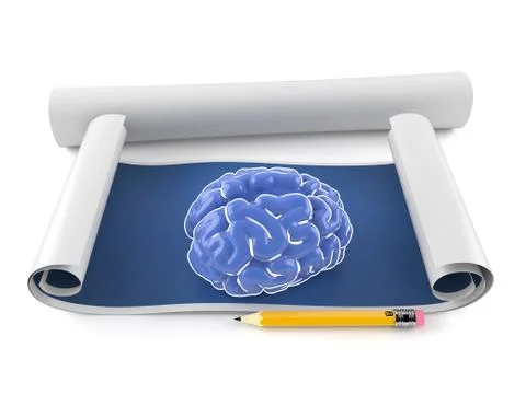 Human brain on blueprint Stock Illustration