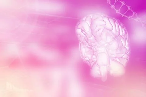 Human brain, brain development concept - background Stock Illustration