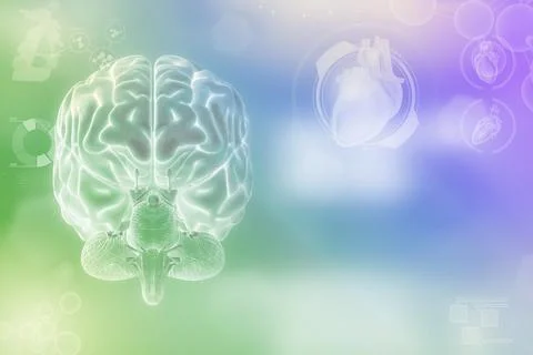 Human brain, brain development concept - very electronic background Stock Illustration