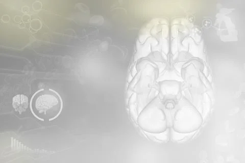 Human brain, brain research concept - detailed texture Stock Illustration