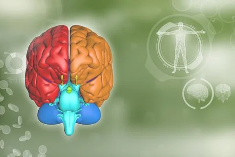 Human brain, brain surgery research concept - modern background Stock Illustration