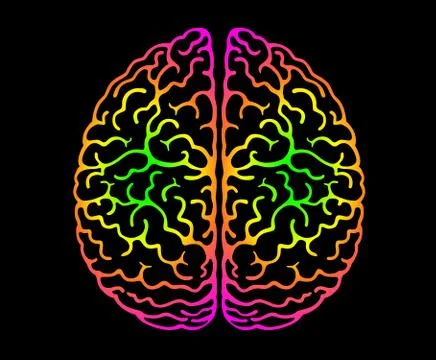 Human Brain. Bright Colors Black Background. Cerebral Hemispheres. Stock Illustration