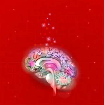 Human brain on a bright red abstract background Stock Illustration