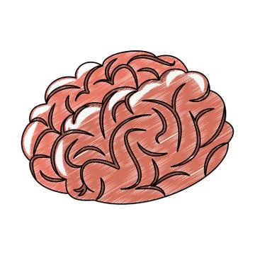 Human brain cartoon scribble Stock Illustration