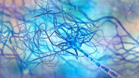 Human brain cell neuron close up in abstract space Stock Photos