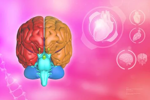 Human brain, cerebrum analyzing concept - very electronic background 스톡 일러스트