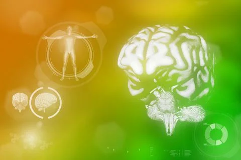 Human brain, cerebrum development concept - detailed texture Stock Illustration