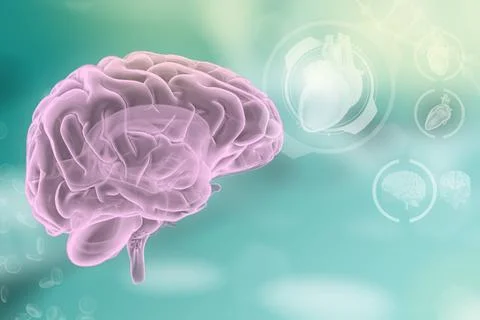 Human brain, cerebrum development concept - highly detailed hi-tech texture Stock Illustration