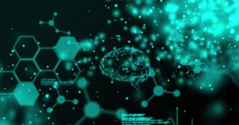 Human brain, chemical structures and data processing against black background Stock Illustration