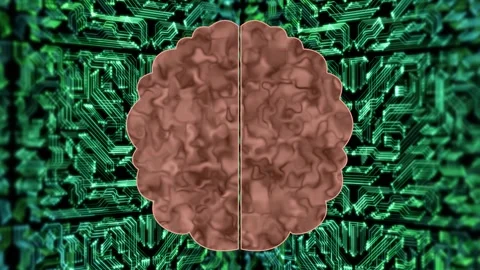 Human brain on circuit line background Stock Footage 253556419