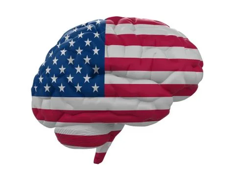 Human brain is colored flag of USA Stock Illustration