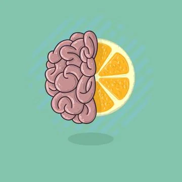 Human Brain Combined With A Citrus Fruit. Refresh Your Creativit 库存插图