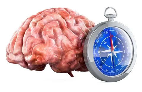 Human brain with compass, 3D rendering Stock Illustration