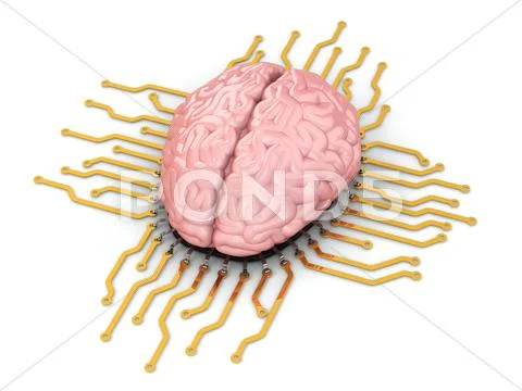 Human brain as computer chip. concept of cpu. Stock Illustration