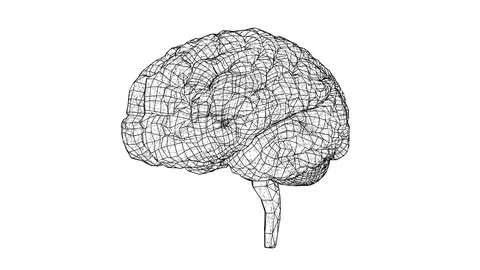 Human brain concept blueprint style Stock Footage 98849360