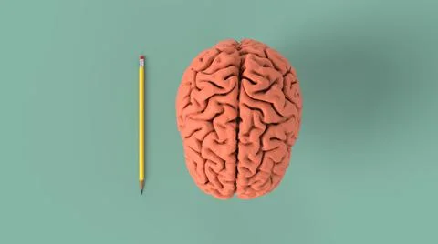 Human brain concept idea 3d image Stock Illustration