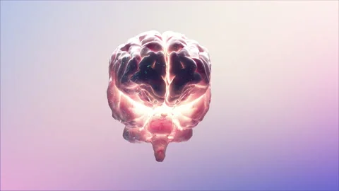 Human brain concept illustrating the brain activity of a transparent mind Stock Footage 234189673