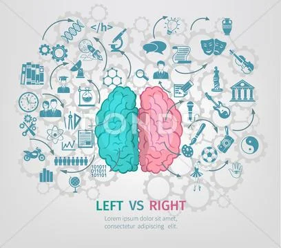 Human Brain Concept Stock Illustration