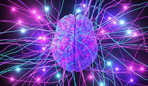 Human Brain Consisting Of Colored Wires Surrounded By Neural Threads イラスト素材