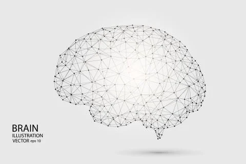 The human brain consists of lines and triangles. The illustration is made up of Stock Illustration