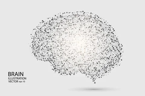 The human brain consists of lines and triangles. The illustration is made up of Stock Illustration
