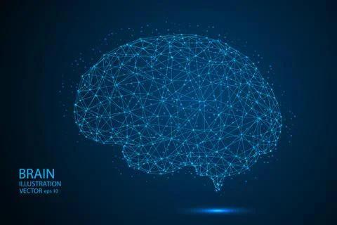 The human brain consists of lines and triangles. The illustration is made up of Stock Illustration