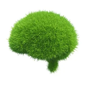 Human brain is covered with green grass isolated on white background Illustrazione stock