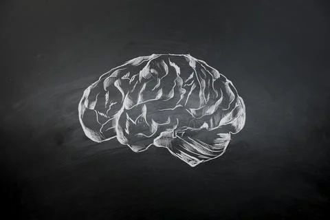 Human brain on dark background Stock Photos