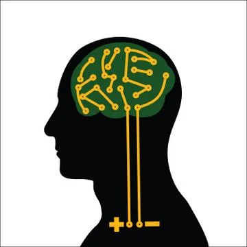 Human Brain design Stock Illustration