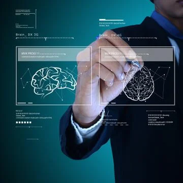 Human brain development concept Stock Illustration