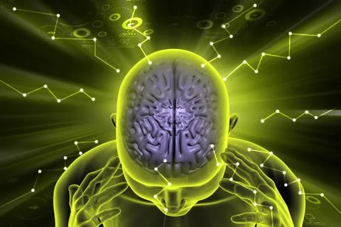 Human brain development concept Stock Illustration