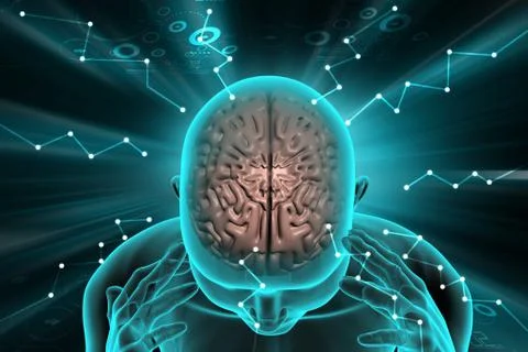 Human brain development concept Stock Illustration