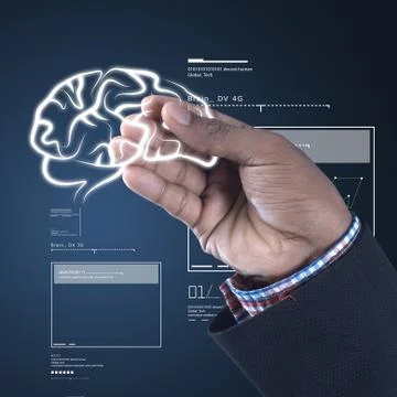 Human brain development concept Stock Illustration